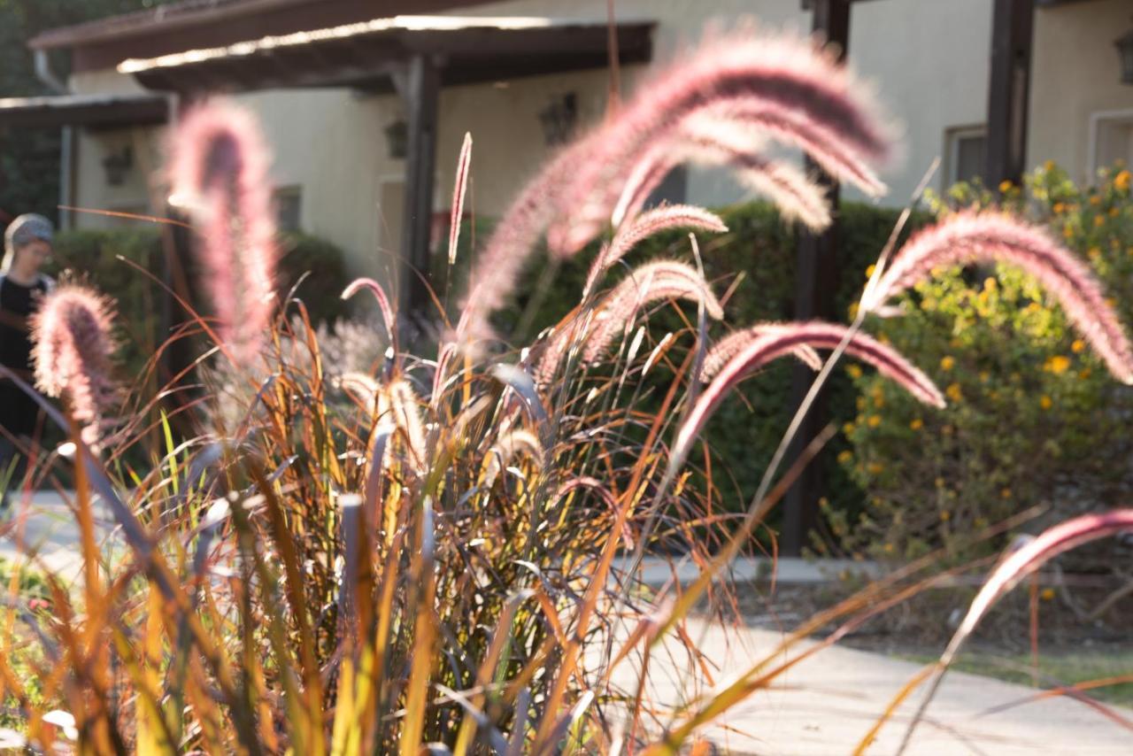 Kibbutz Tiratzvi - Country Lodging Tirat Zevi Εξωτερικό φωτογραφία