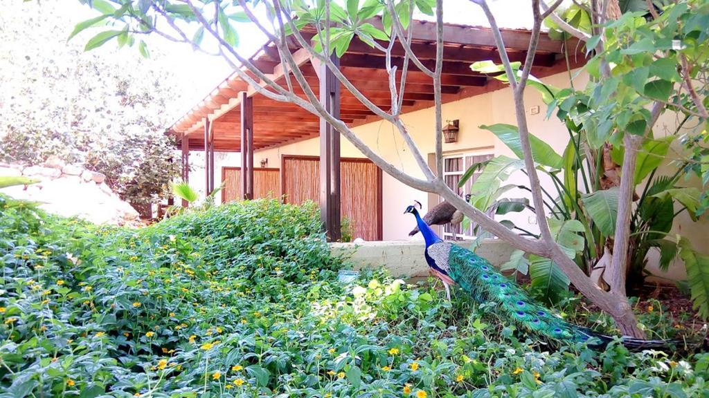 Kibbutz Tiratzvi - Country Lodging Tirat Zevi Εξωτερικό φωτογραφία