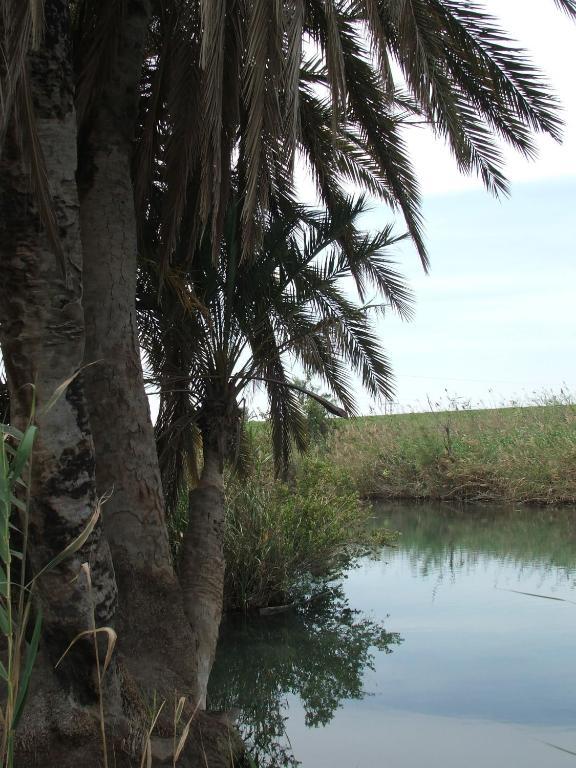 Kibbutz Tiratzvi - Country Lodging Tirat Zevi Εξωτερικό φωτογραφία