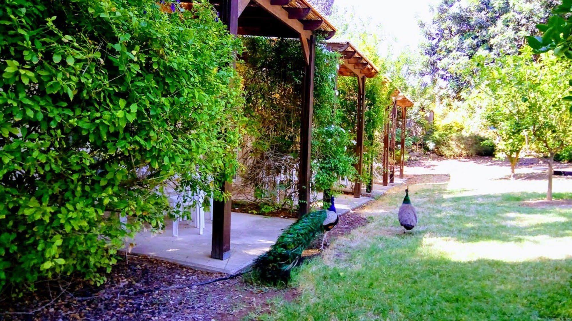Kibbutz Tiratzvi - Country Lodging Tirat Zevi Εξωτερικό φωτογραφία